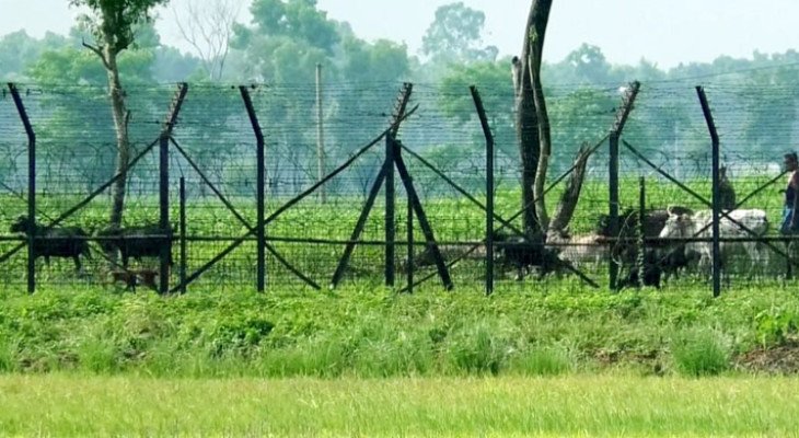 পোরশা সীমান্তে বিএসএফের গুলিতে বাংলাদেশি নিহত